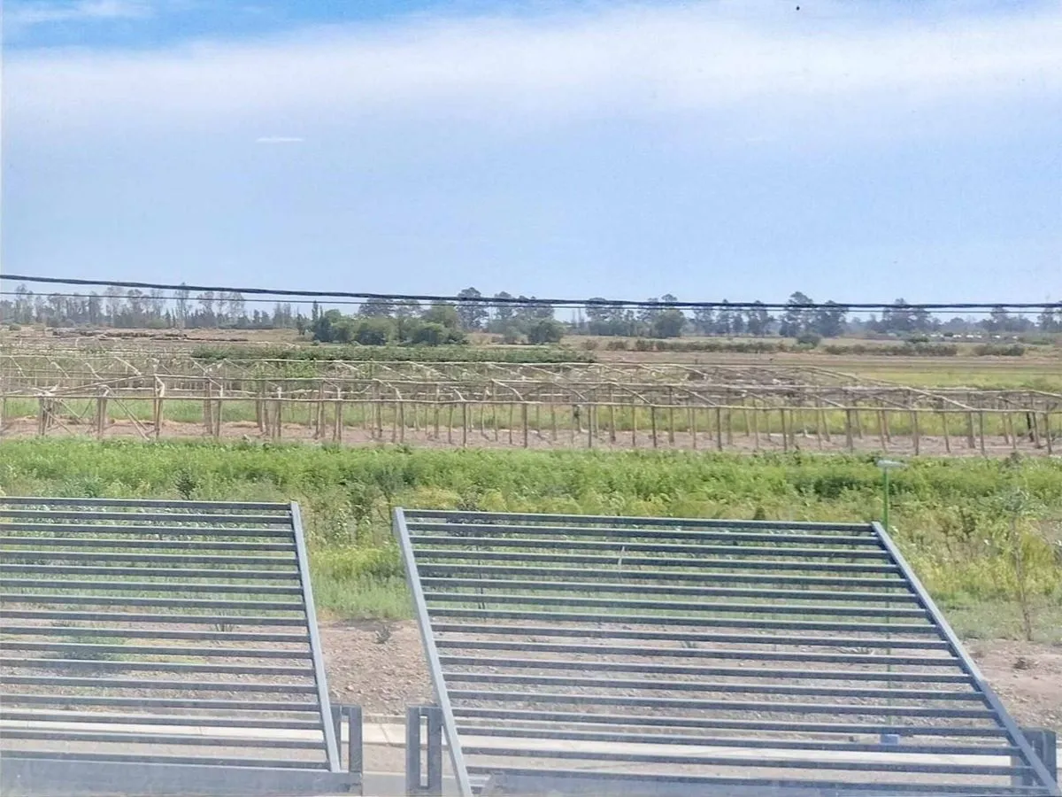 Los campos del INTA en San Juan no están en la lista de venta, pero crece la alerta