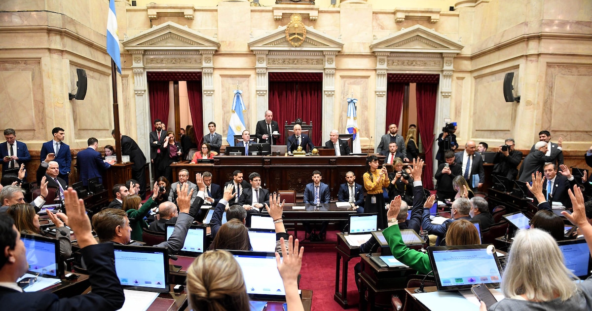 El Senado aprobó una versión recortada de la ley de propiedad privada y la envió a Diputados