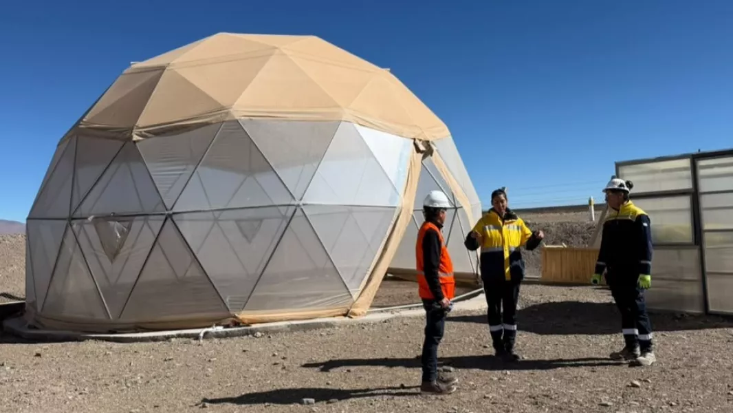 Rincón ensaya un banco de semillas para restaurar áreas afectadas por la minería