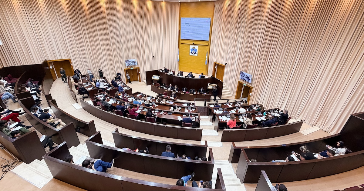 Neuquén aplicará narcotest sorpresivos a sus diputados y hará pagar cada examen al legislador