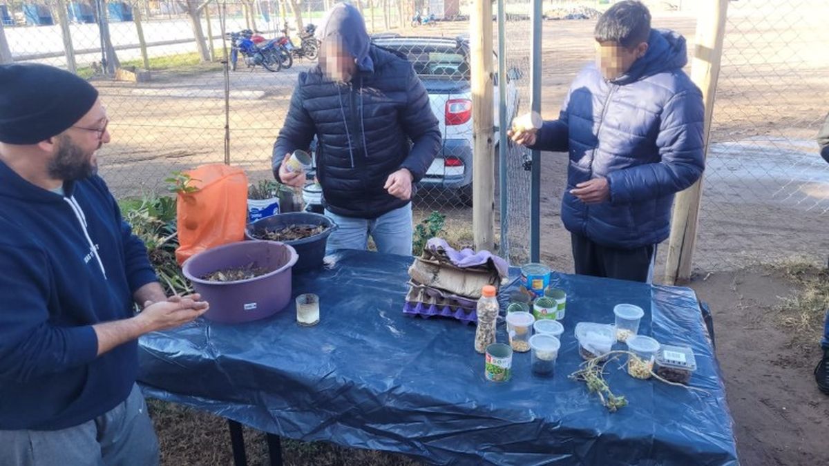 San Juan incorporó huerta y cuidado de animales a un abordaje de salud mental