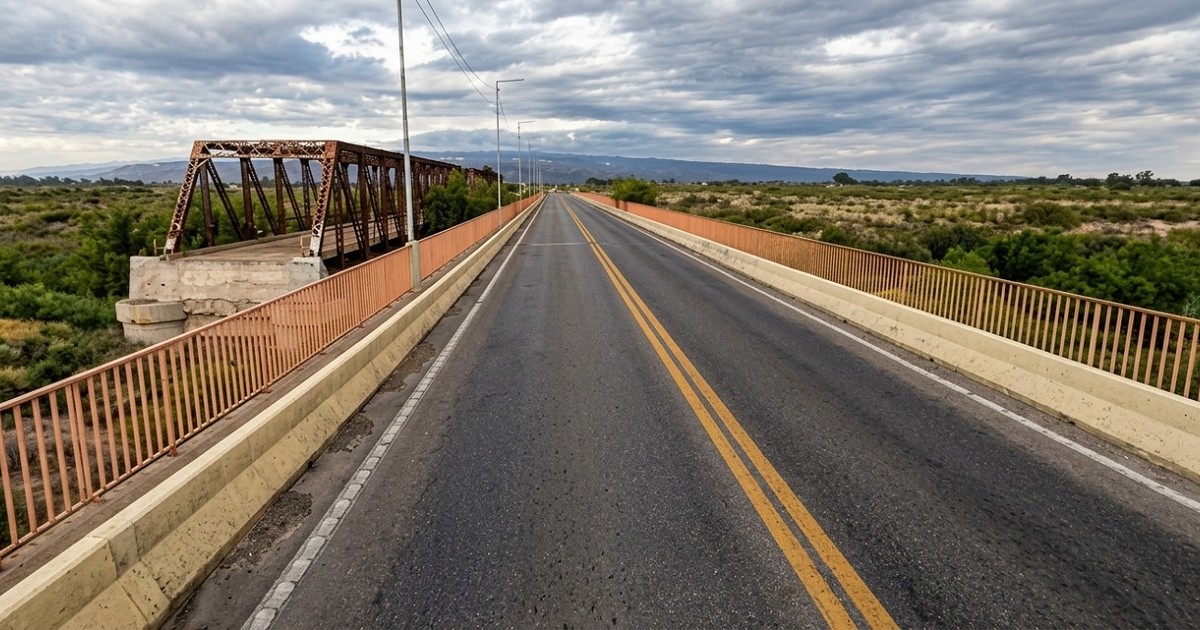 La nueva Ruta 20 deberá enfrentar riesgo sísmico extremo y compensar 1.343 árboles