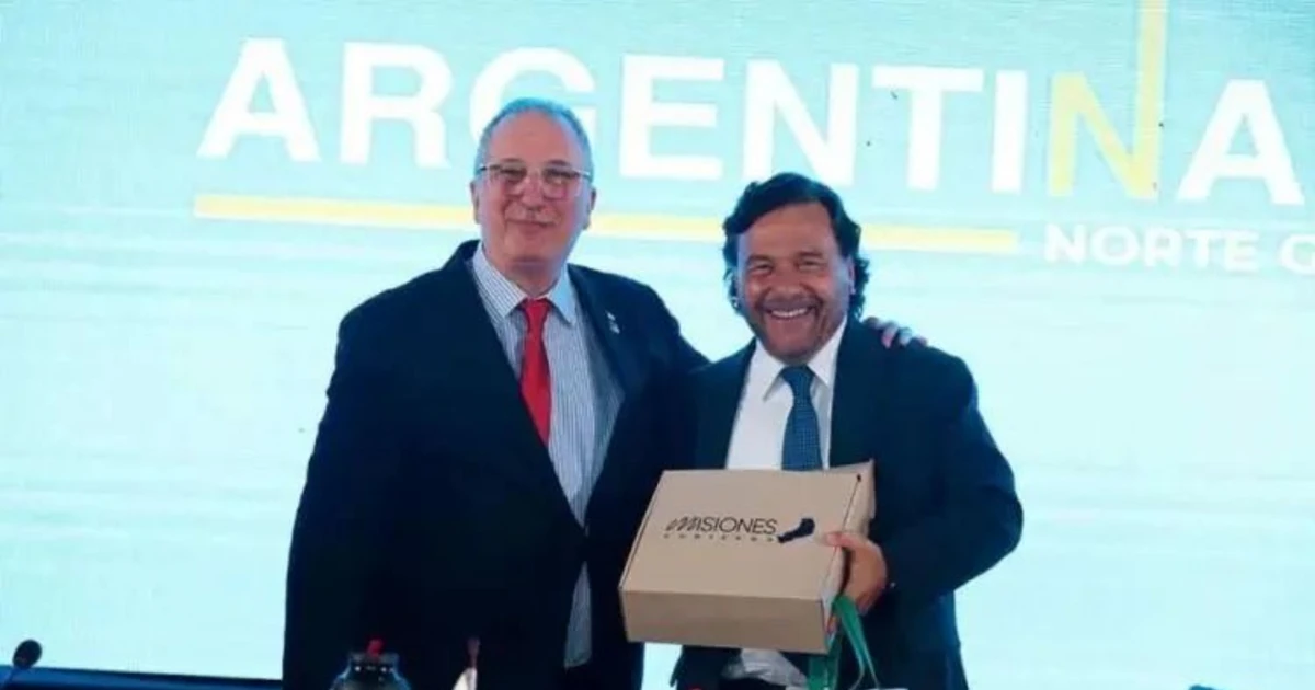 Gobernadores de Misiones y Salta arman un bloque propio para negociar en Diputados