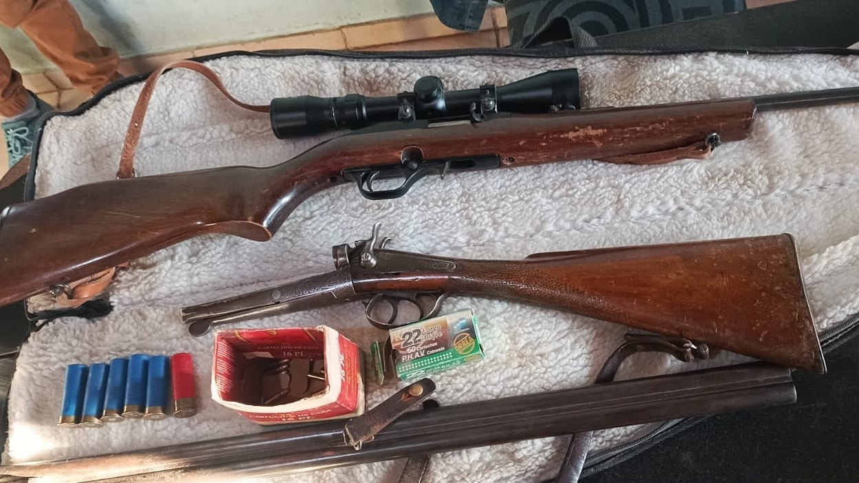 Rescataron 11 aves autóctonas y secuestraron dos armas en 25 de Mayo