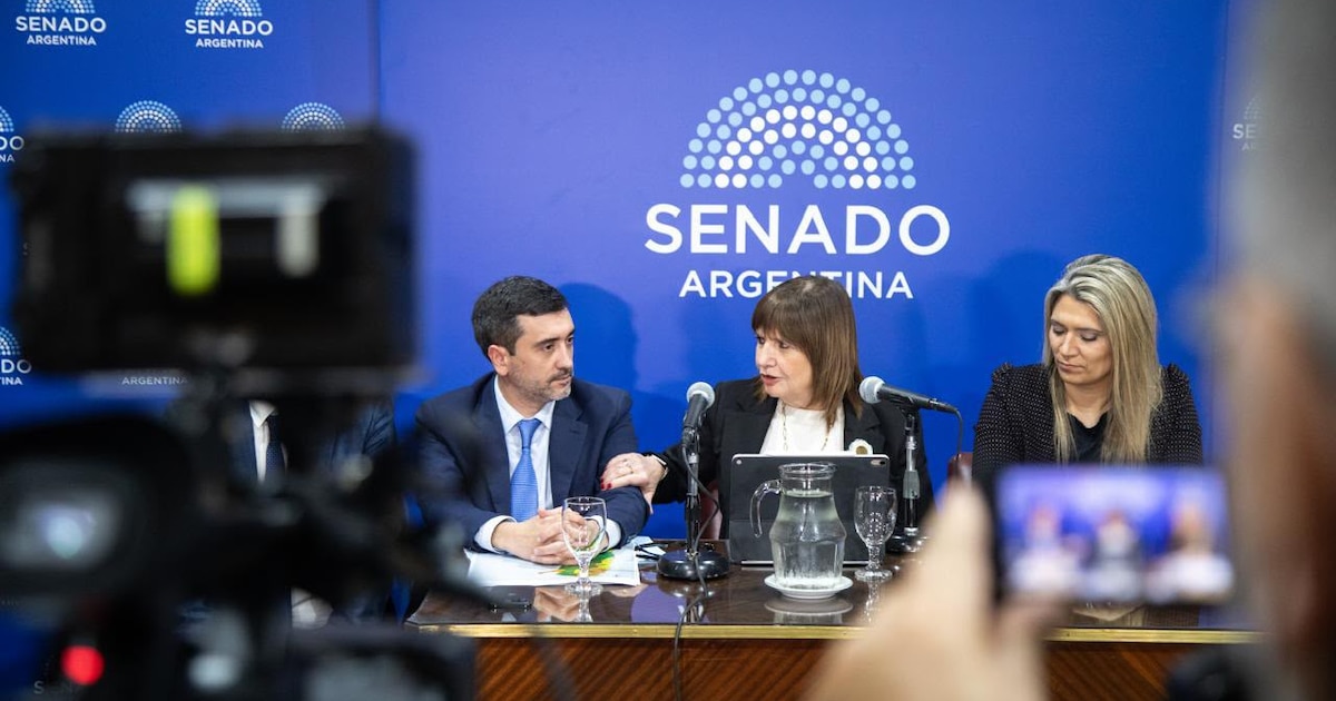 Bullrich prometió reabrir el debate por las PASO, pero el oficialismo sigue sin votos