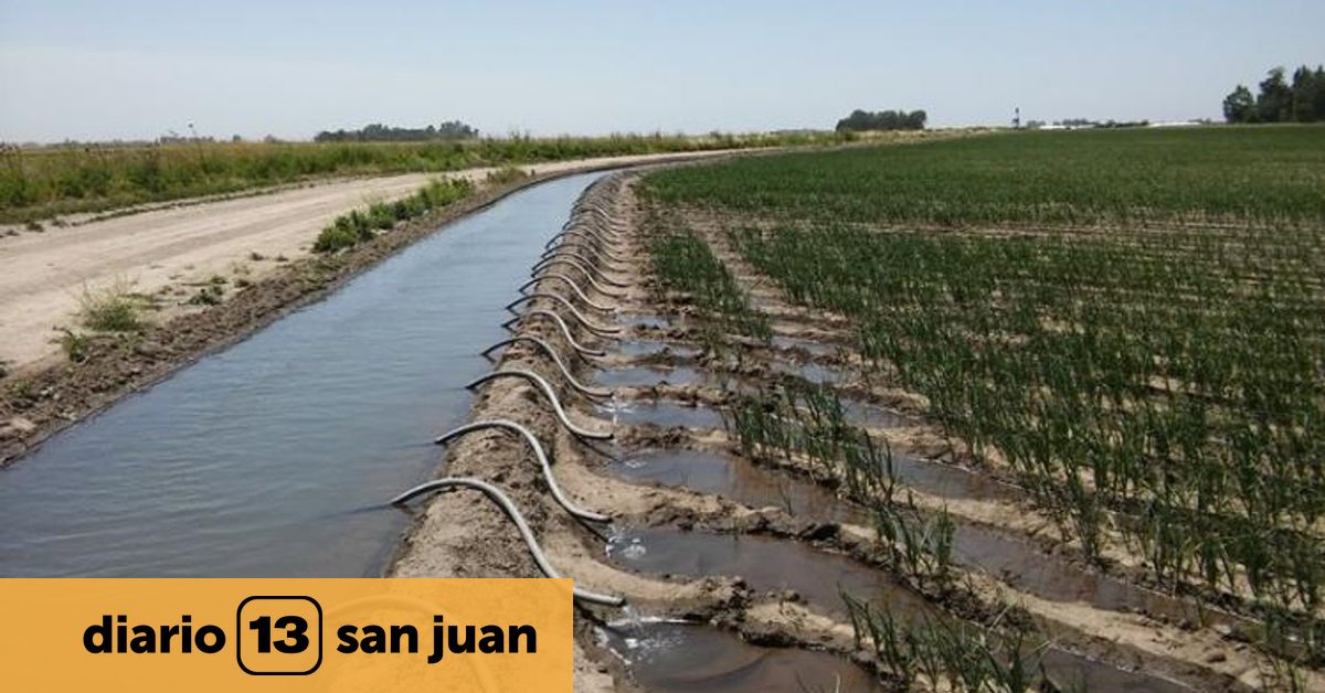 San Juan elevó el coeficiente de riego y abrió dudas sobre las reservas de agua