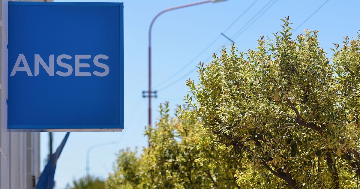 ANSES abrió una segunda tanda de retiros voluntarios hasta fines de septiembre